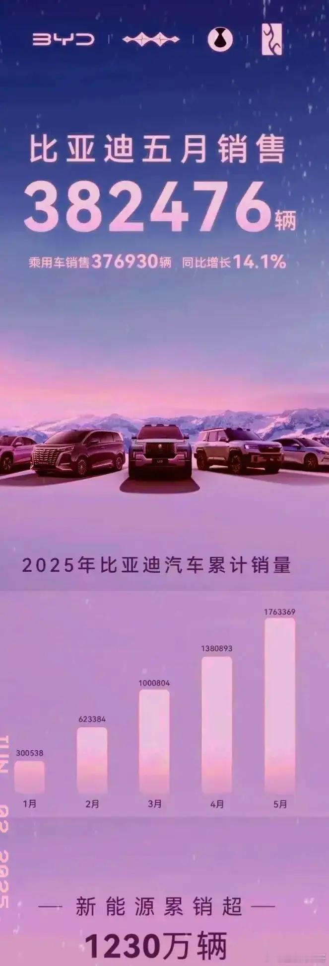 王传福这回算是出名了！本以为比亚迪会公在5月份卖出382476辆车是王炸！但是当