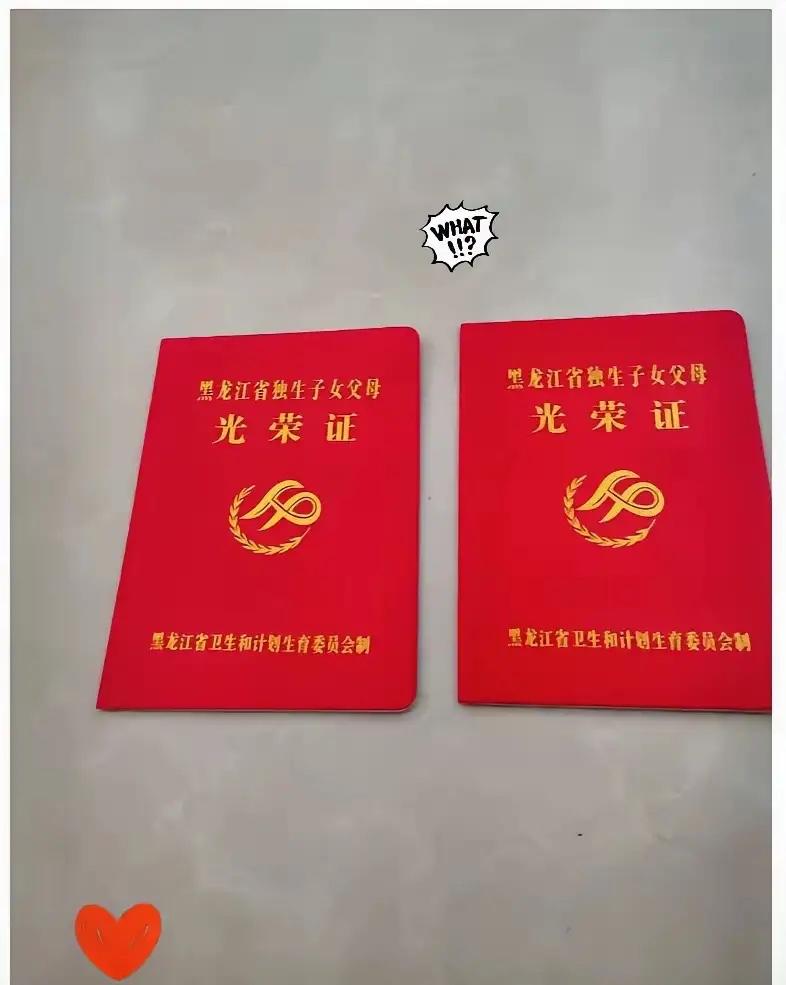 都是中华人民共和国公民

响应国家计划生育独生子女号召。
为什么补发独生子女助金