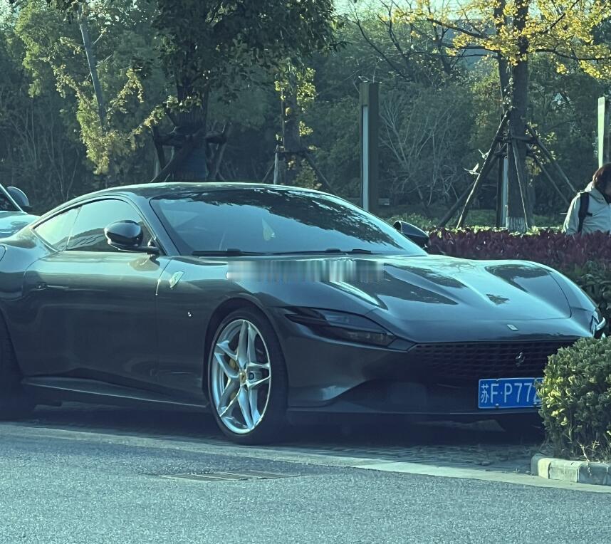 南通法拉利第310部。   