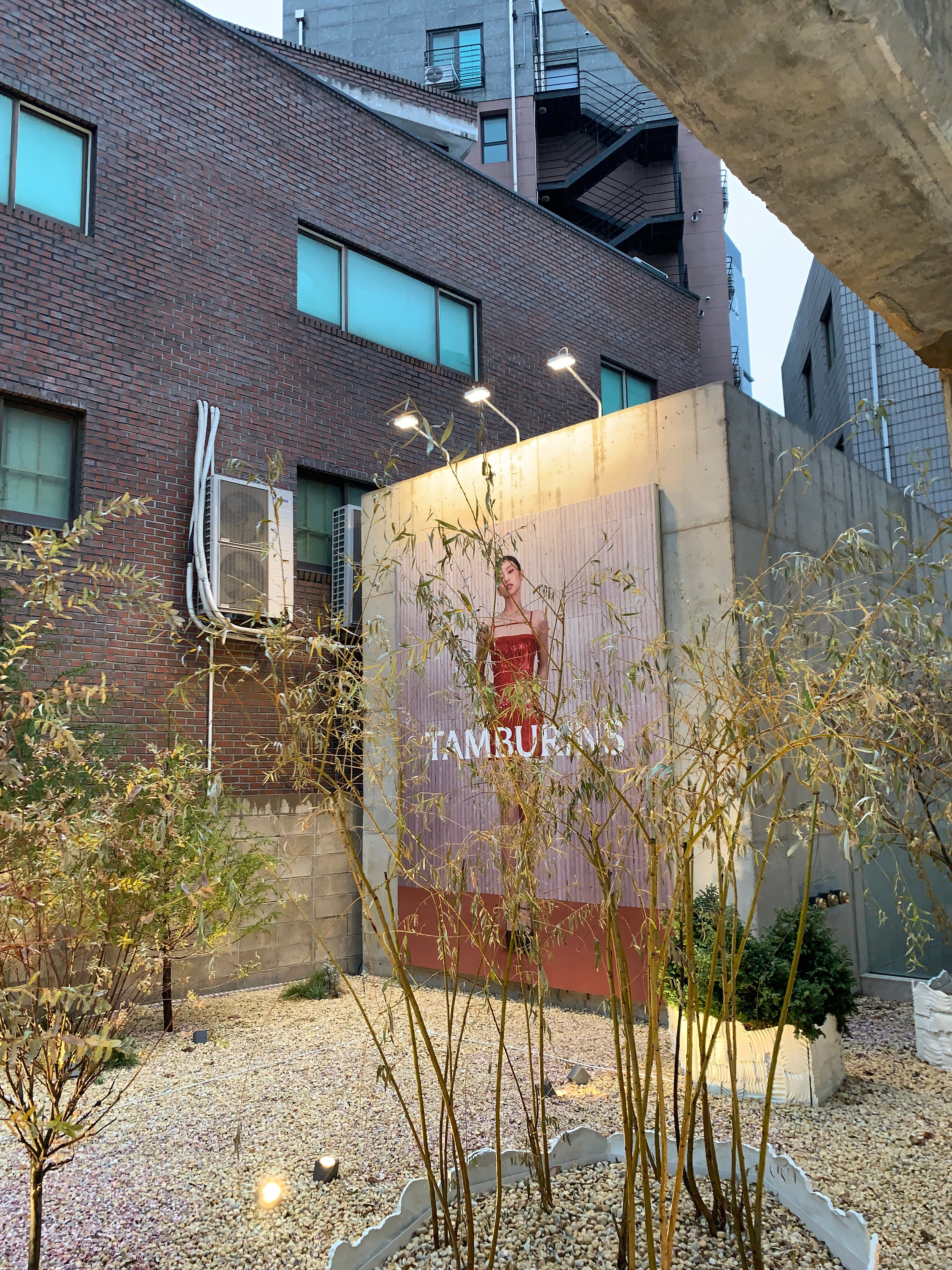 放两天假 回去就开始认真减肥！ ​​​