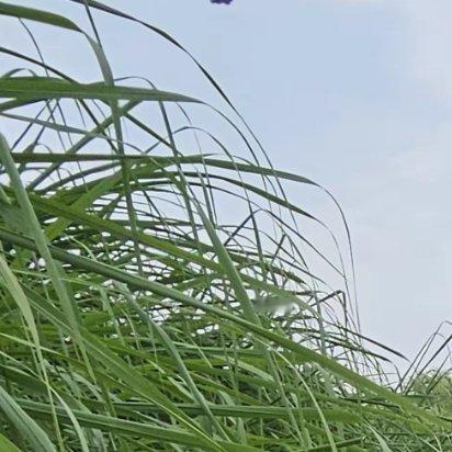 与其抱怨命运不公，不如努力逆天改命；与其羡慕他人光芒，不如点亮自己的灯。 