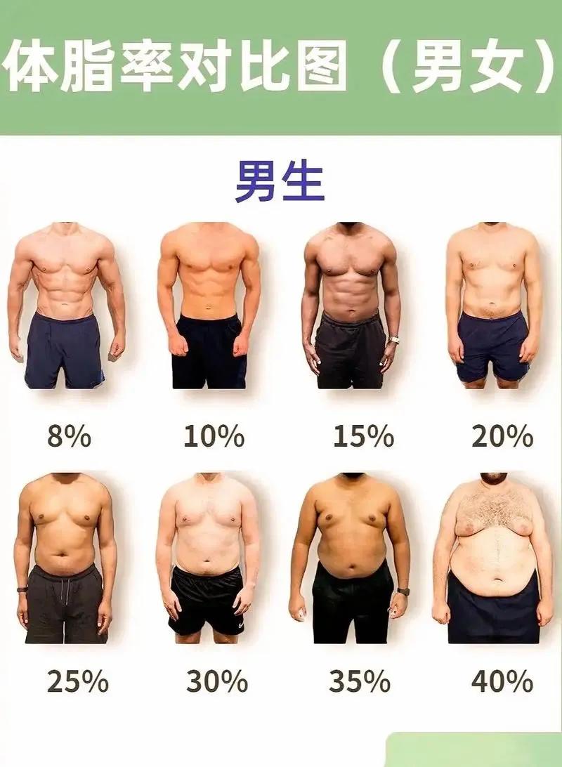 体脂率，是指人体内脂肪重量在人体总体重中所占的比例，又称体脂百分数，它反映人体内