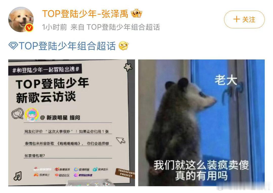 张泽禹我们这么装疯卖傻有用吗张泽禹表情包玩梗到底是谁教会张泽禹玩这个梗，表情包配