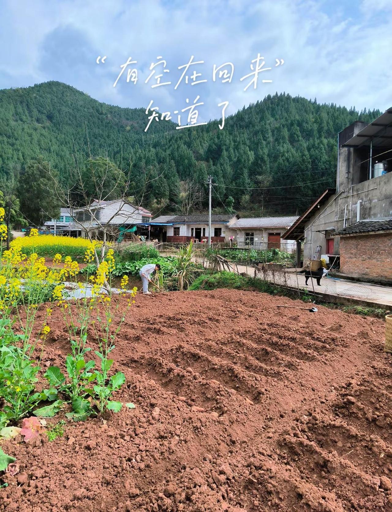 用你老家的照片陪上这句话🎵