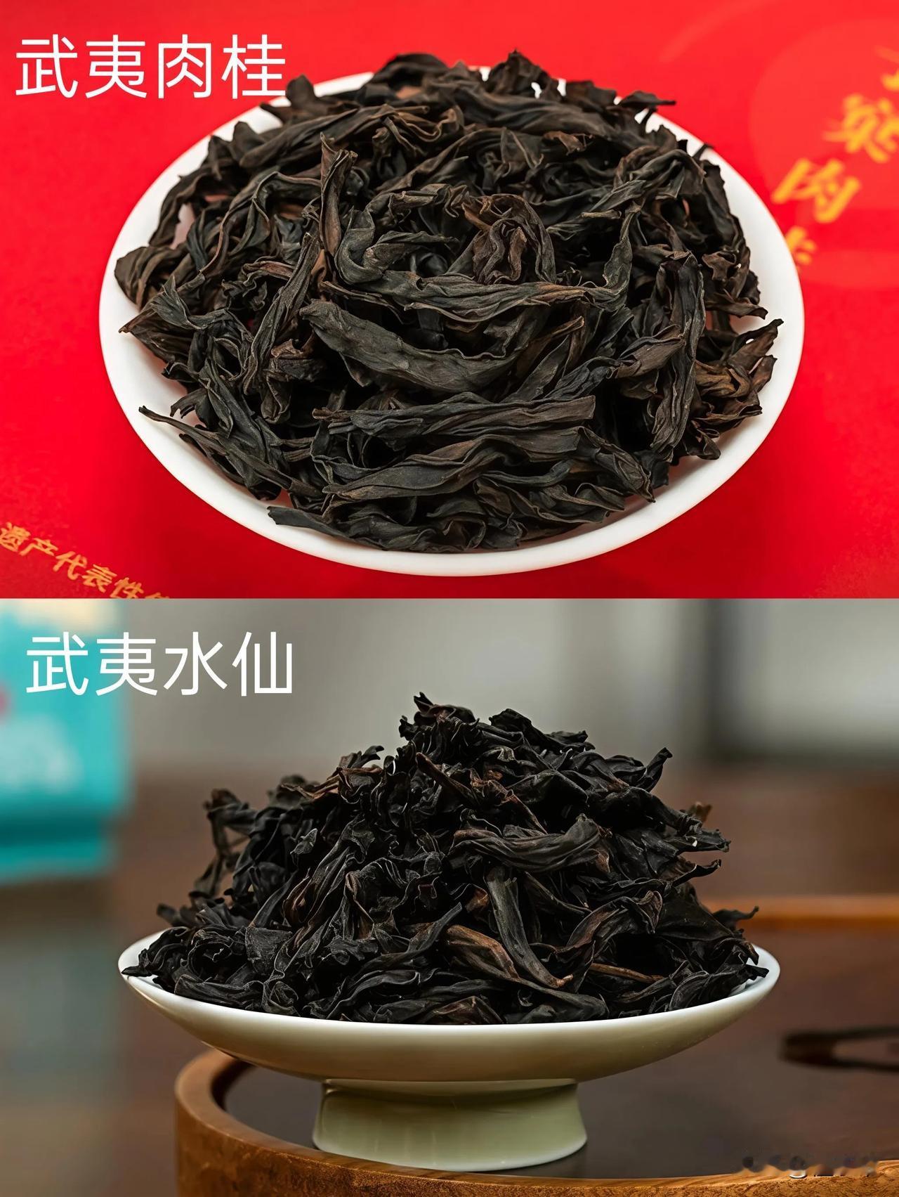 岩茶双绝：武夷水仙VS肉桂，一篇读懂！
爱喝武夷岩茶的或许都听说过“香不过肉桂、