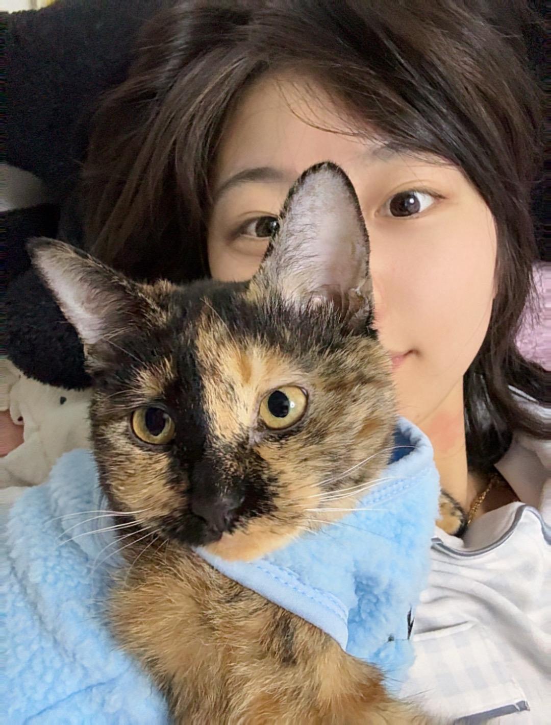 妈妈有了你，生活从一地鸡毛 变成一地猫毛🐾