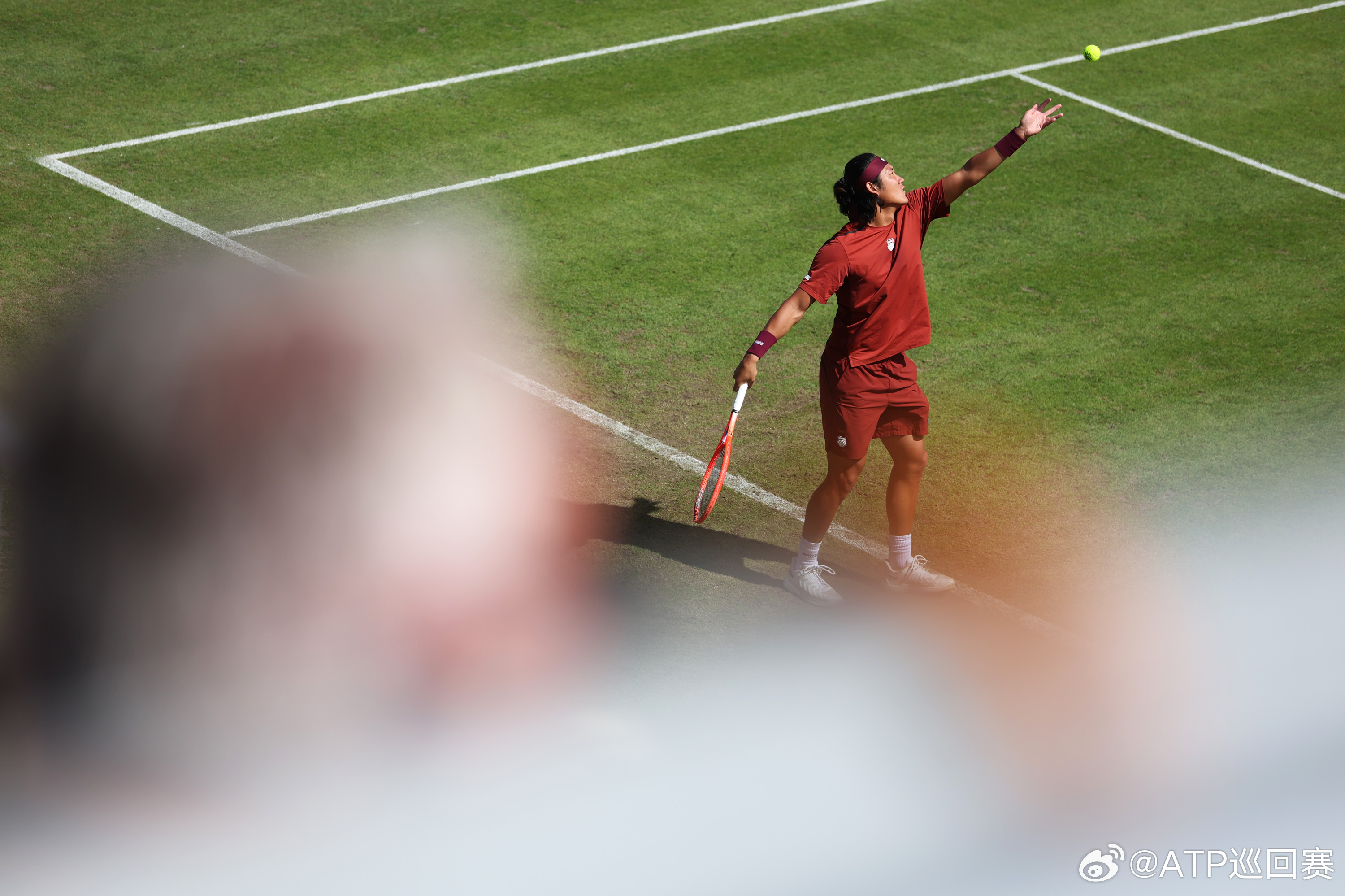 两站ATP250 赛事周二完整赛果⬇️斯海尔托亨博斯：马纳里诺 6-4 3-6 