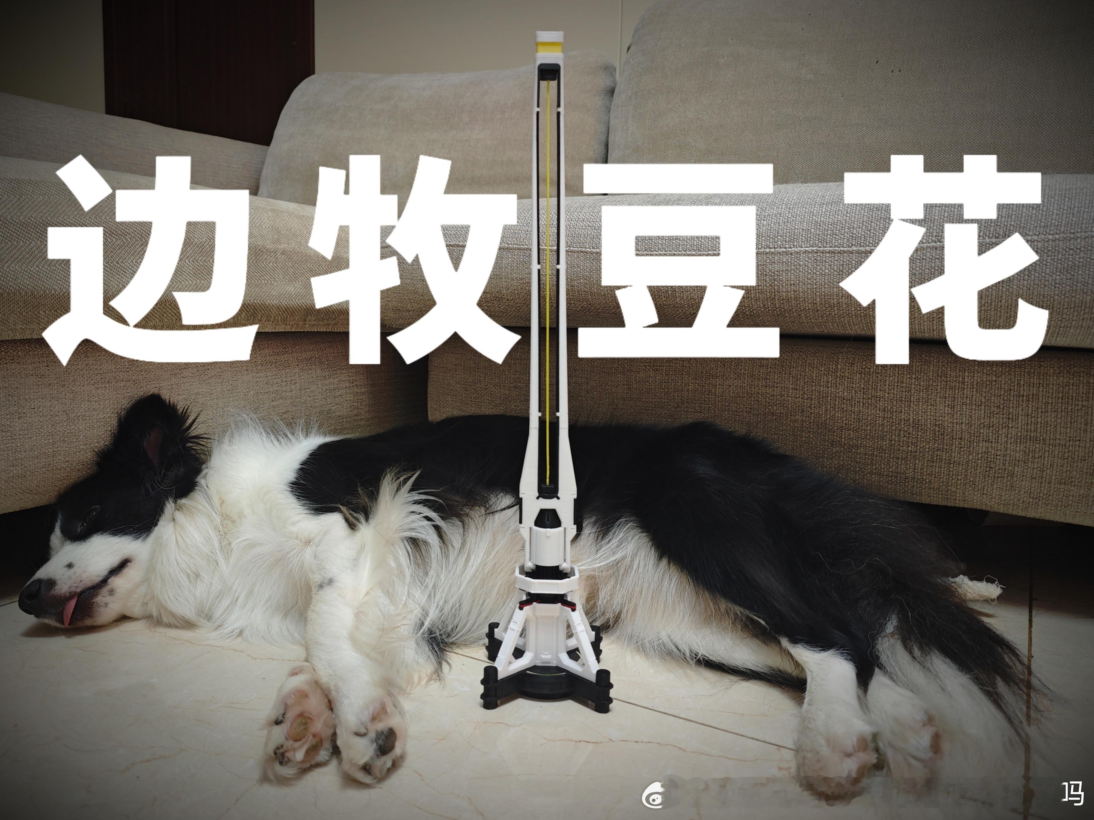 噔噔 