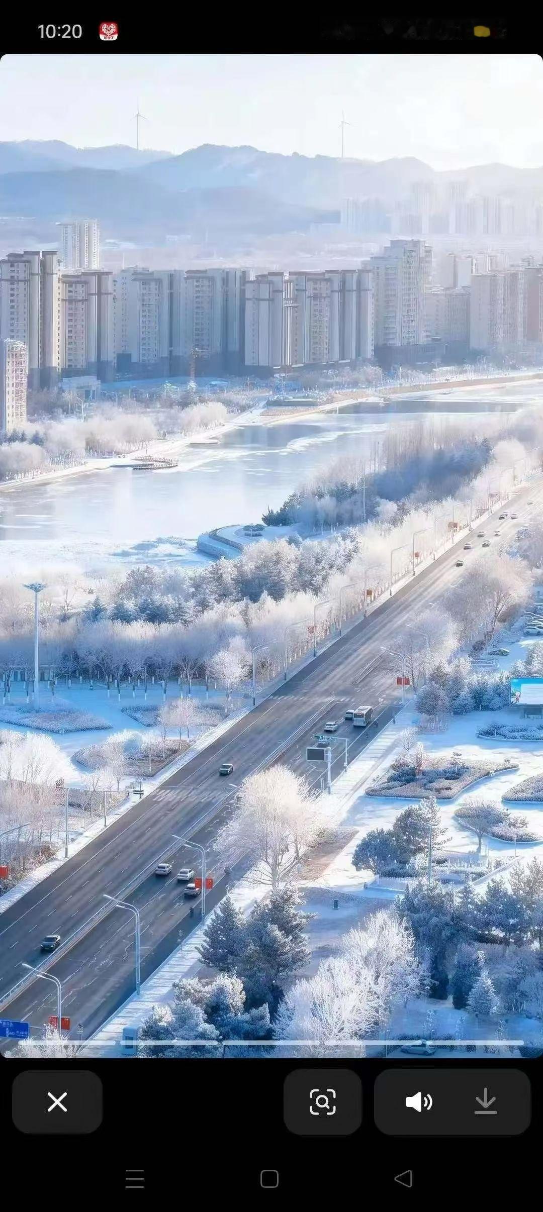 今年冬天的不同雪明显比往年少了很多，不是一星半点