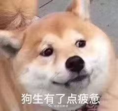 为什么感觉对方忽冷忽热的对方忽冷忽热不是最致命，让你反复自我怀疑最要命 