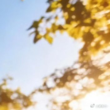 每日一善 阳光信用 真正决定一个人成就的不是运气，而是严格的自律和高强度的付出成