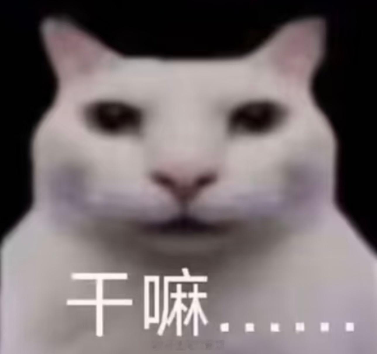 从公司出发去参加个活动，刚下电梯一开门，无线耳机掉电梯井里去了，什么运气… 