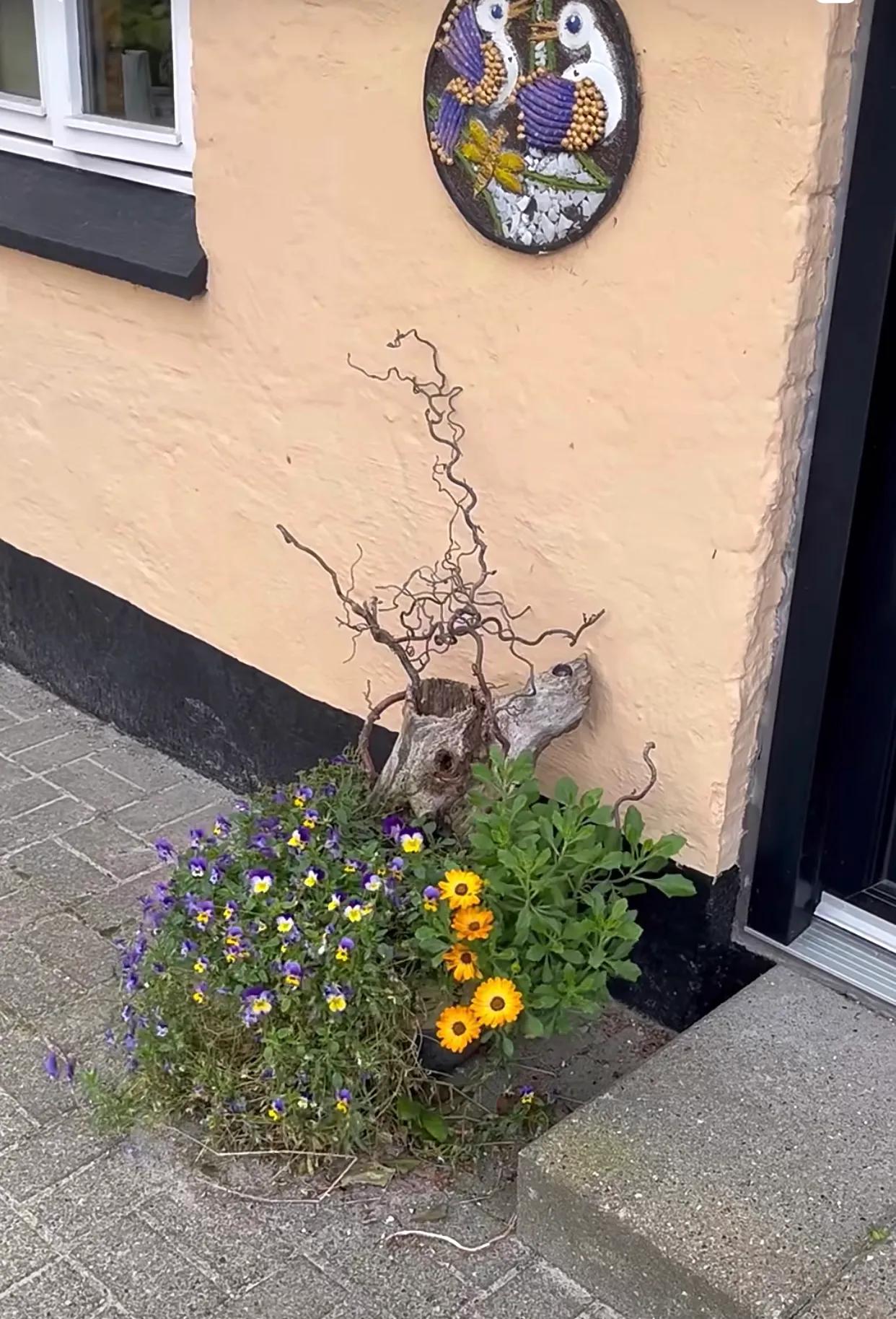 38岁，裸辞，真的没什么大不了！

辞职前，同事告诉我：

“只要在这个公司里还