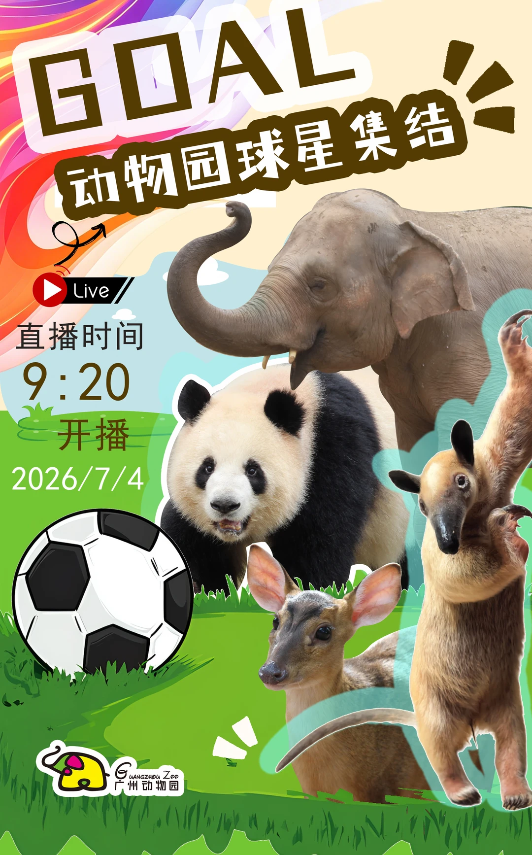 【直播预告】周六一起来看动物球星