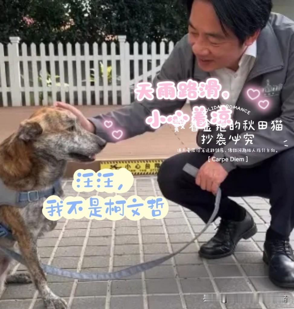 柯文哲不如一只斑点狗？
陈佩琪炮轰赖清德，泪诉丈夫苍老沦落至此，赖清德且晒与狗合