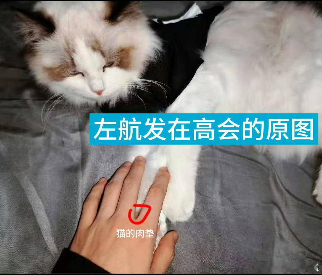 .一个8月就开始的阴谋ai出来告 