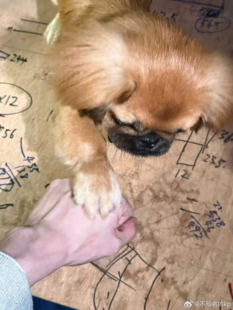 曾舜晞的房车被尿撒了 完全就是笑不活了呀，曾舜晞的房车被尿撒了，抱着我们女明星还