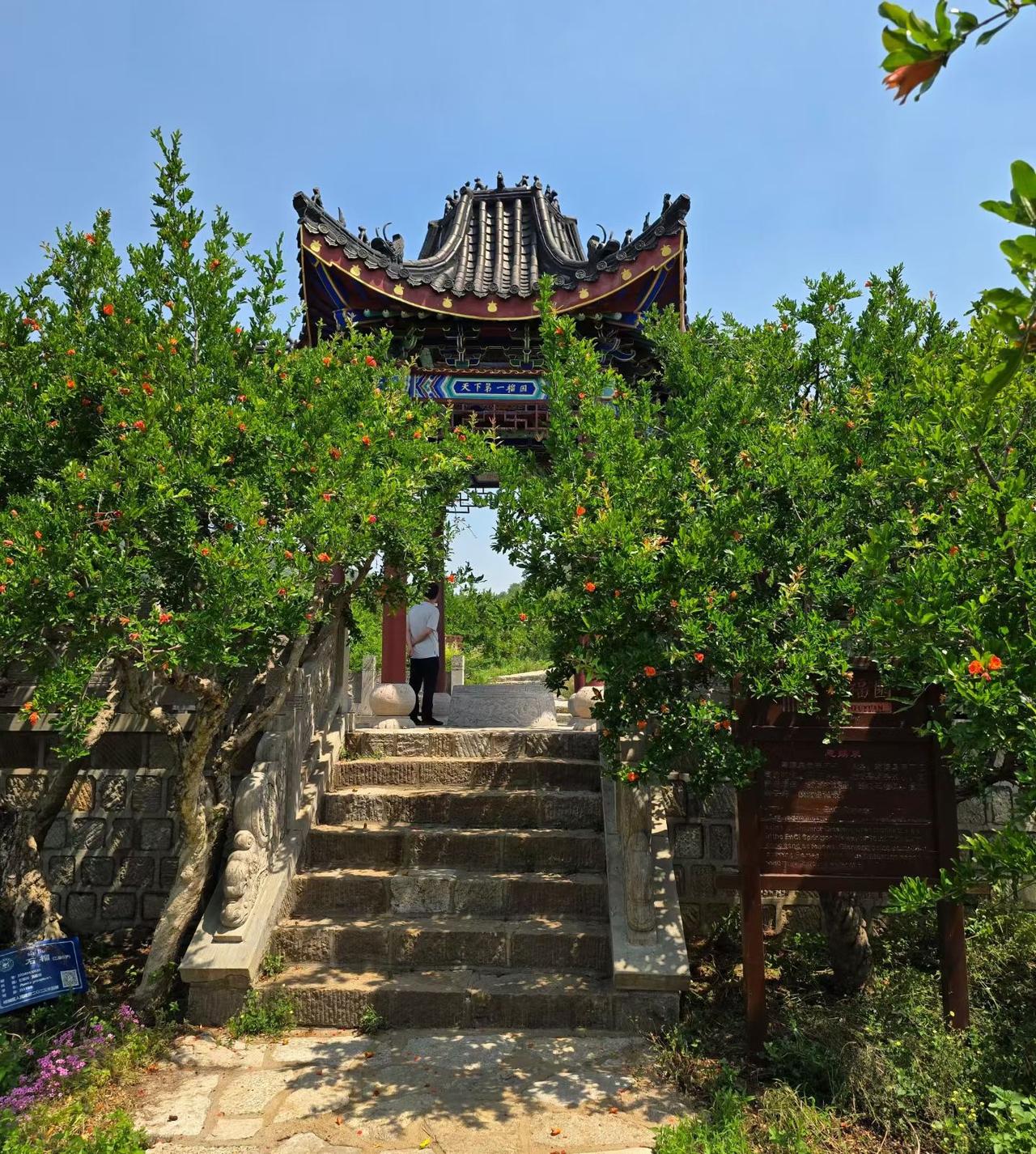 老师家的天塌了：已近耄耋之年的初中班主任老师，正遭受“白发人送黑发人”的人生至暗