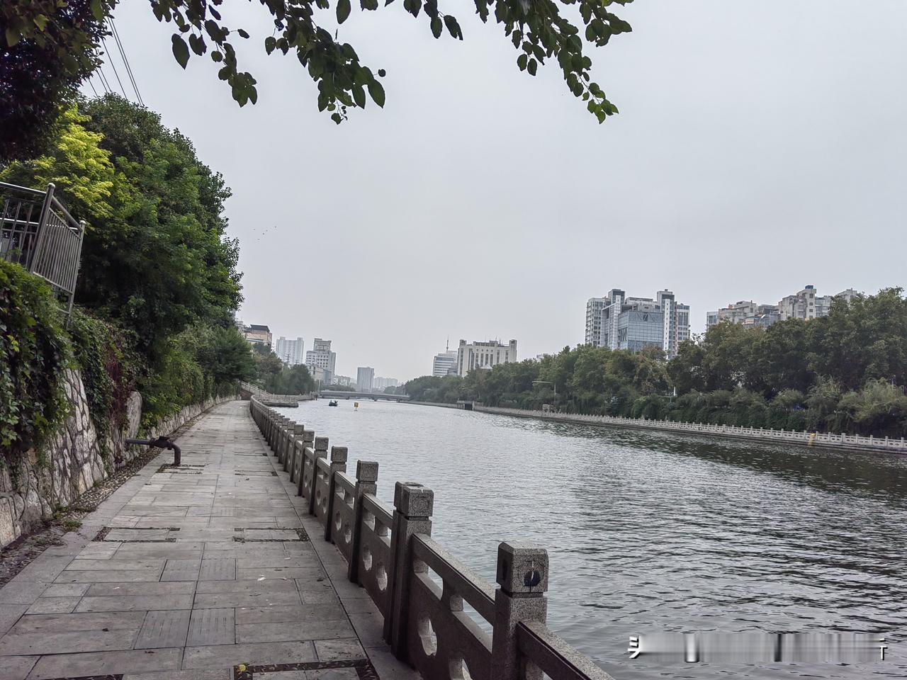 徐州黄河边要是能过观光船夜间亮化好绿化好就好了