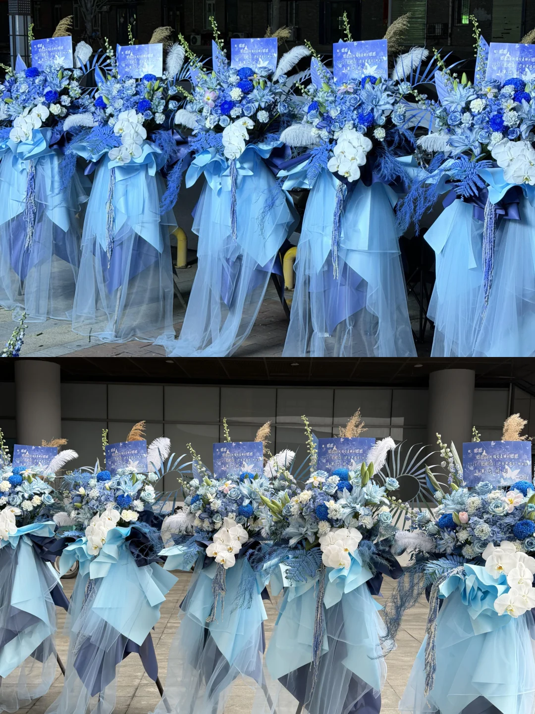 雨琦给周深郑州演唱会送了5个花篮