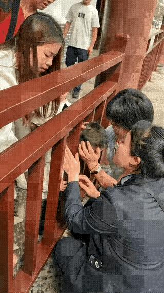 “这就是男女在智力上的区别！”男孩的头卡在栏杆里，四个女的在那研究了半天，还是没