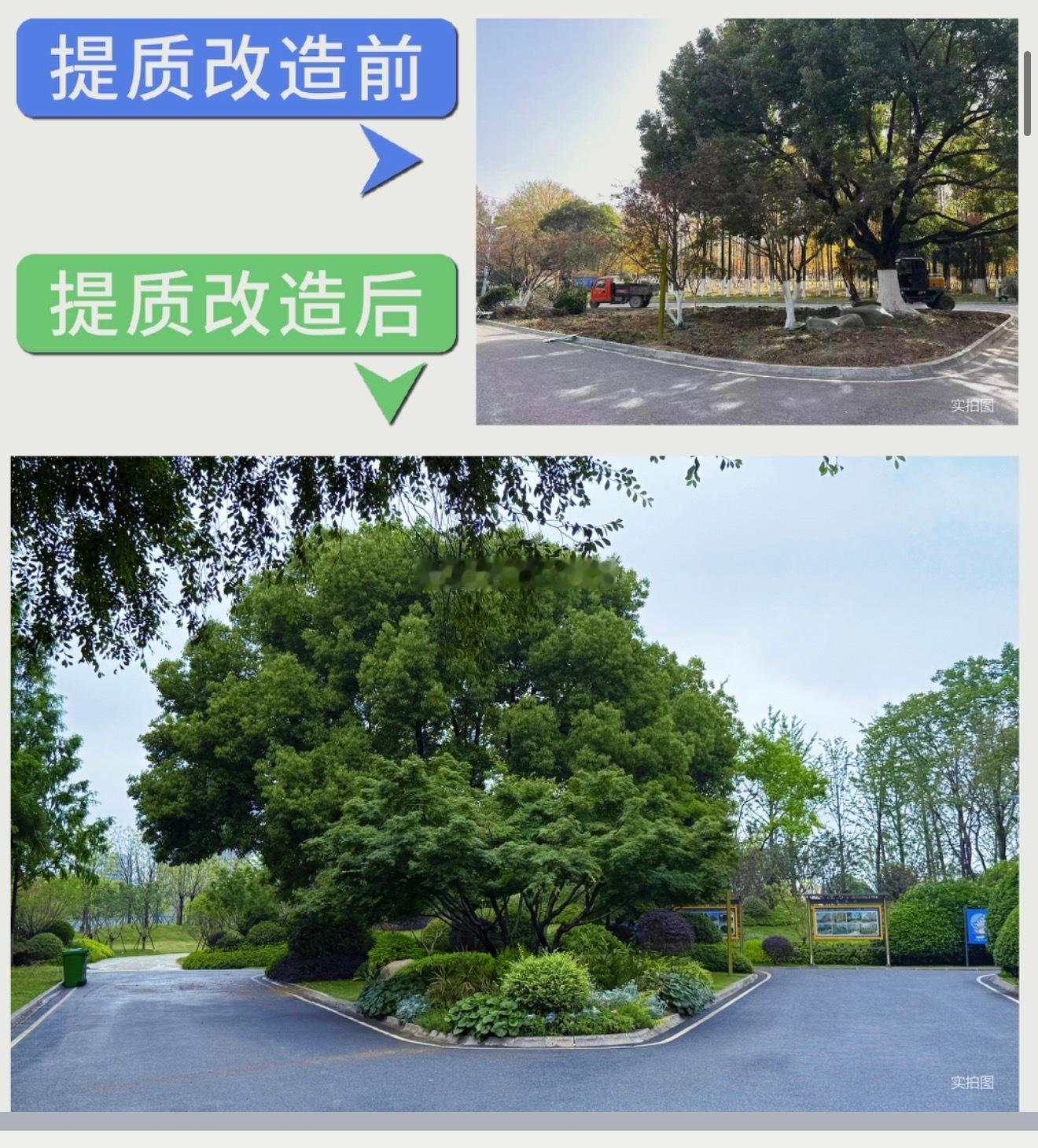 合肥生态公园焕新大升级合肥主城老牌城市绿肺迎来改造关键进展！园内首个配套建筑「森