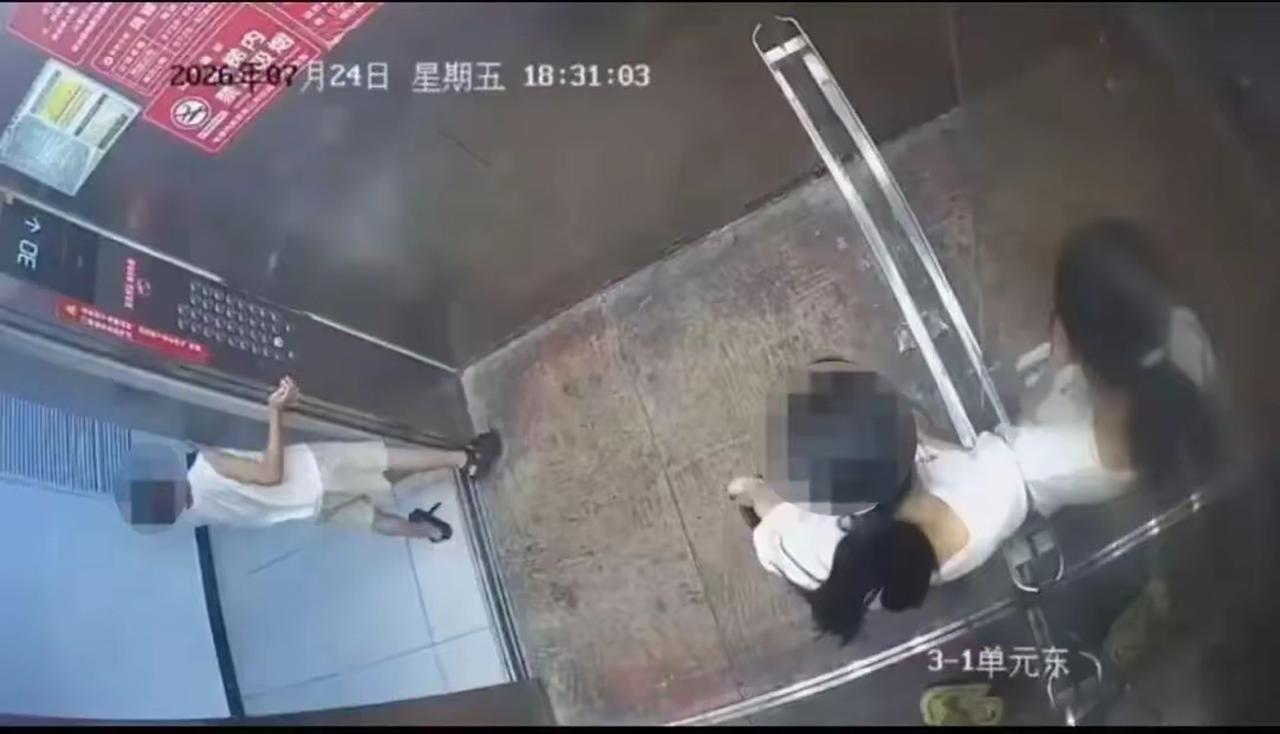 【电梯挡门互殴引争议！周兆成：纠纷可以包容沟通，教育绝不可以宣扬暴力】
 
湖北