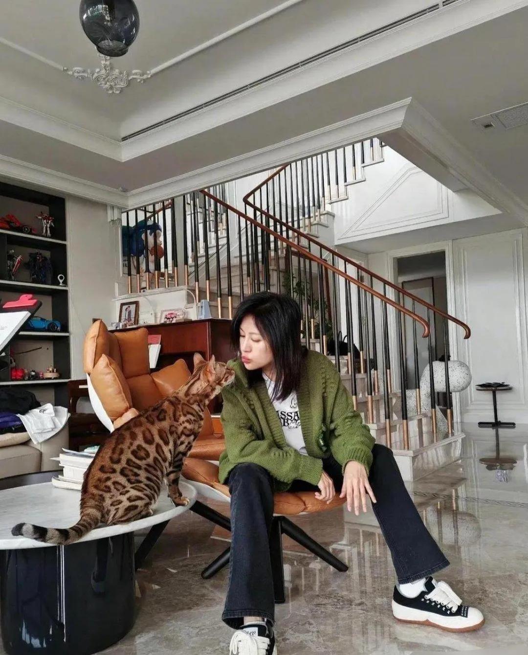 鲍蕾上海豪宅中养了一只猫，这只猫的品种叫做孟加拉豹猫，价值100万！明星们果然没