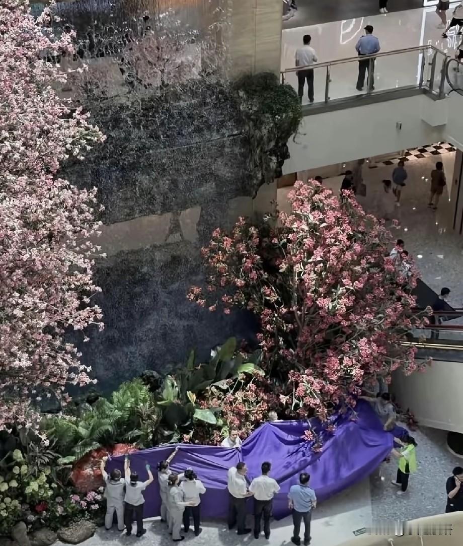 西安赛格商户千万罚款引争议，一纸长文道尽四年委屈，现场画面令人揪心
 
近日，西