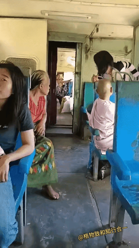 猜猜这是哪个国家的火车？