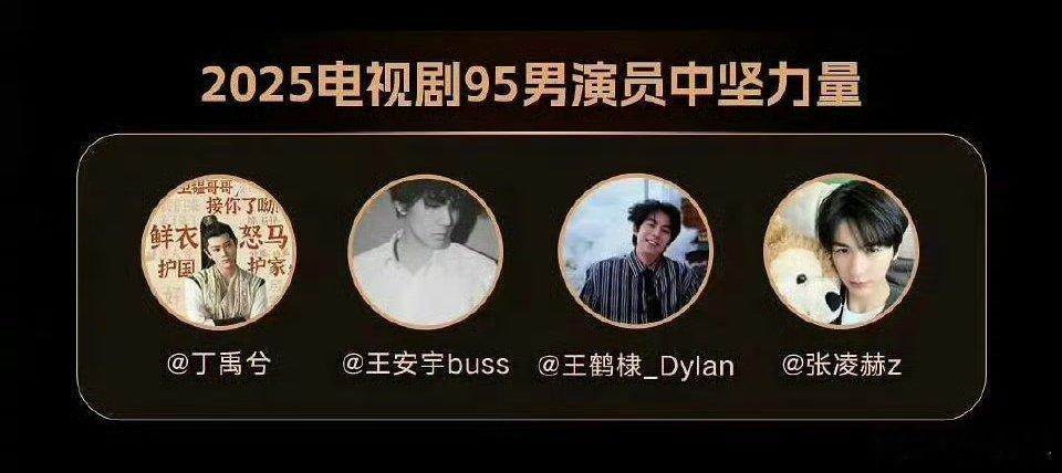 2025电视剧95男演员中坚力量 丁禹兮是妥妥的“角色解码器”吧！无论是甜宠剧里