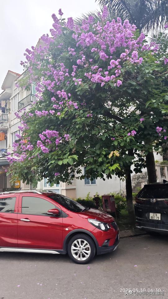 和认知不同的人在一起工作，最好的做法就是不解释，不强求。
以前没注意这个事儿，反