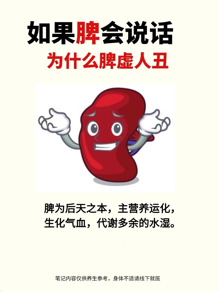 脾虚了，怎么办
