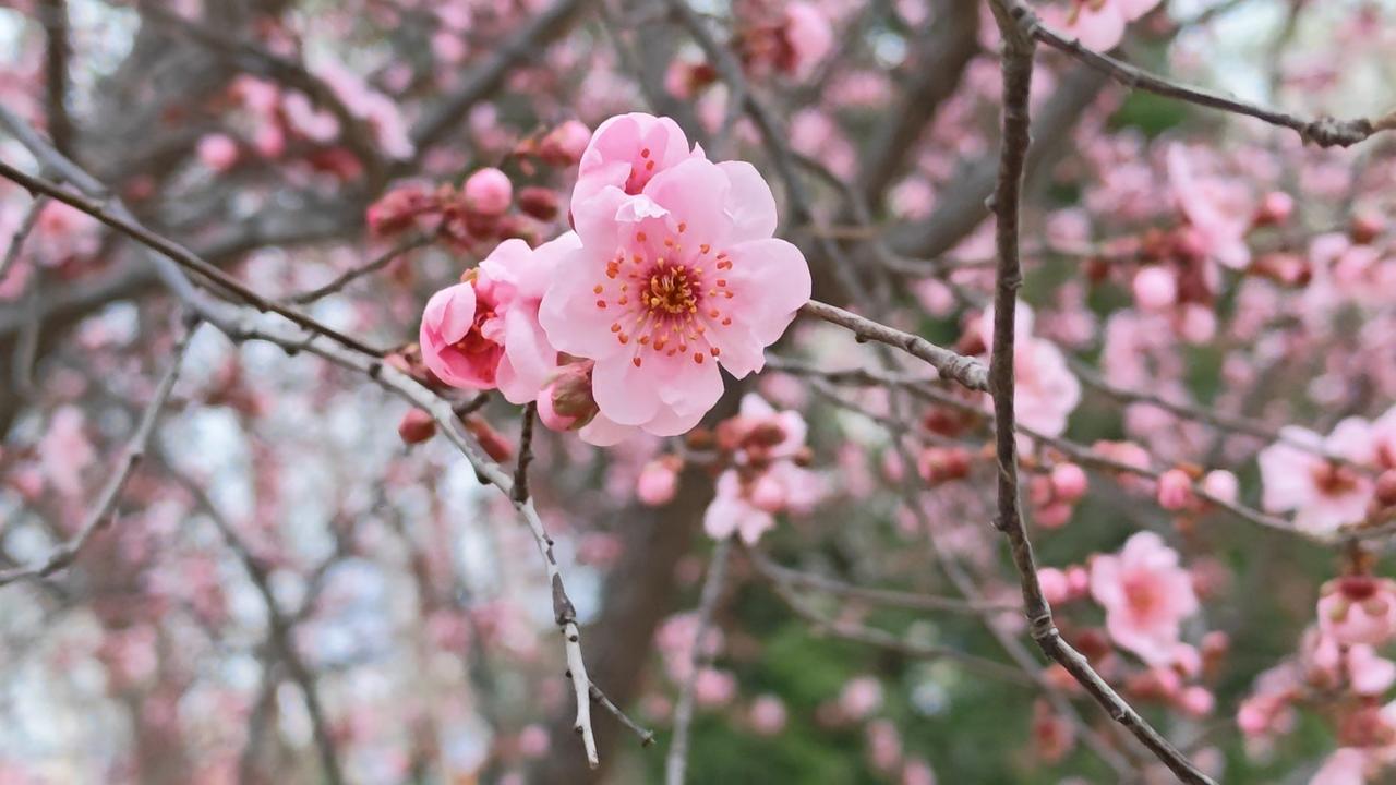 非常现实的一段话：

“如果你有退休金，并且子女找了外省的伴侣，那我奉劝你一句：