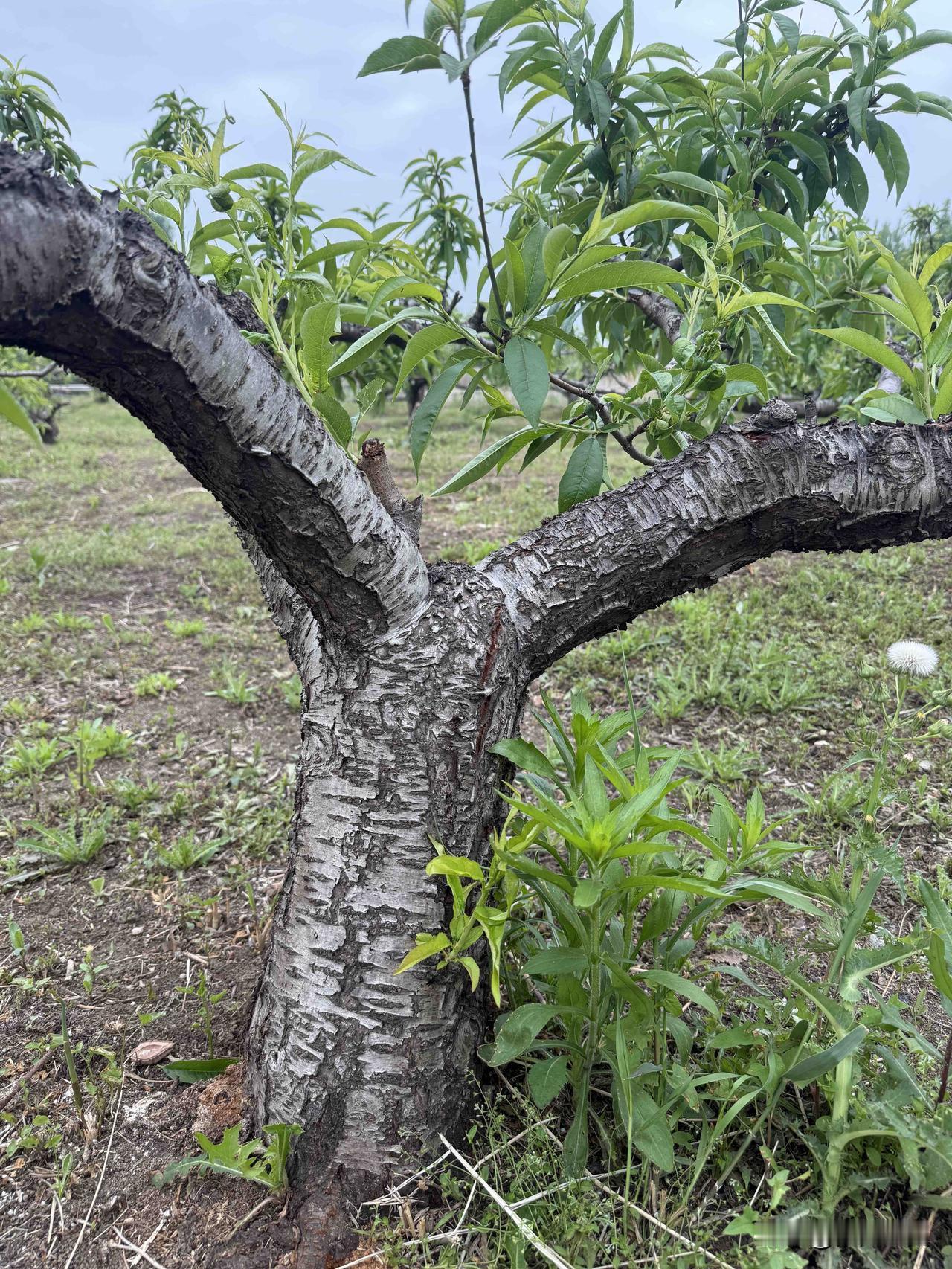 人每天奔波劳碌,究竟是为了什么? 
【小对联】
上：……？
下：新房。