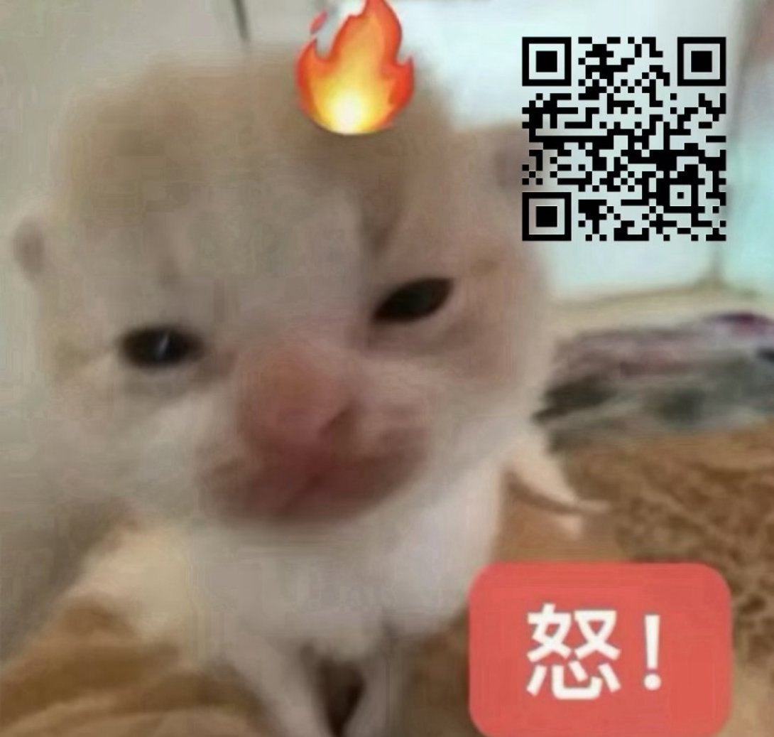 100个1有没有