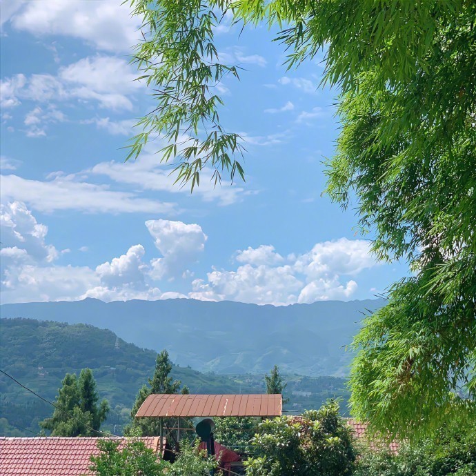 成年人回趟老家，就像看了一次心理医生。 