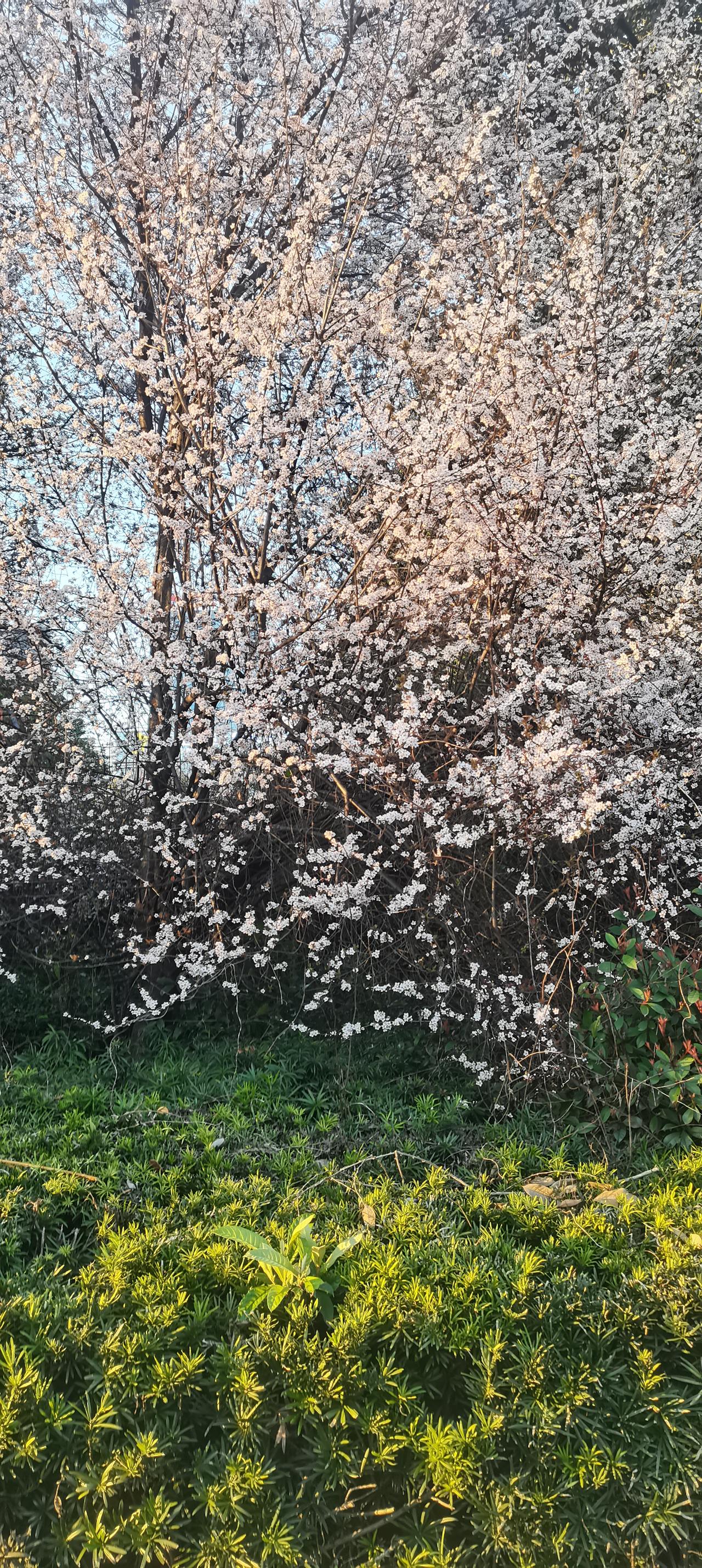 在封建社会里，女子是没有任何社会地位的，嫁出去的女，就好比泼出去的水，虽然生孩子
