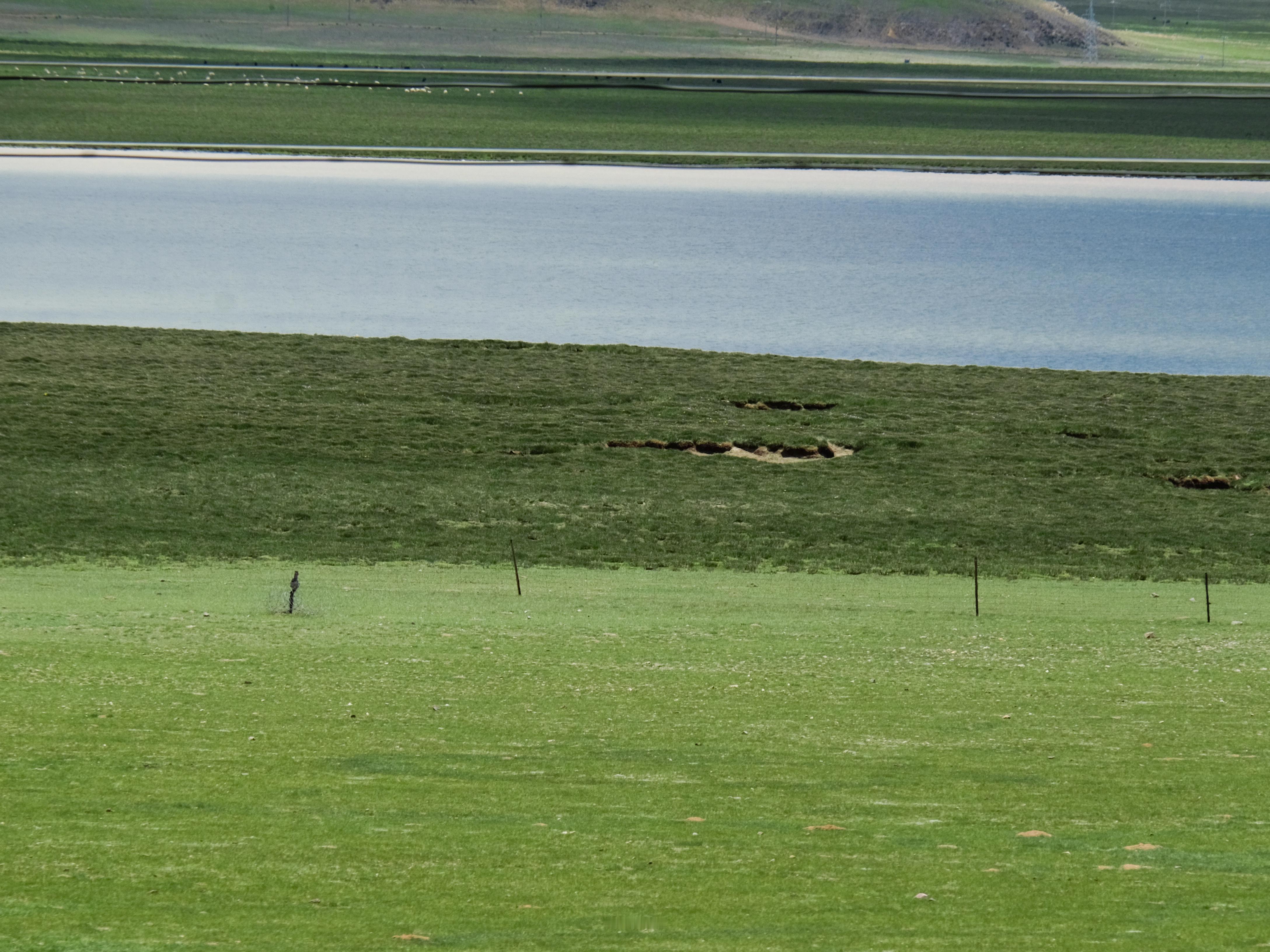 我一直相信生命中会有一些人，他们爱你，给你养分，而当你失去他们时，没有任何人能填