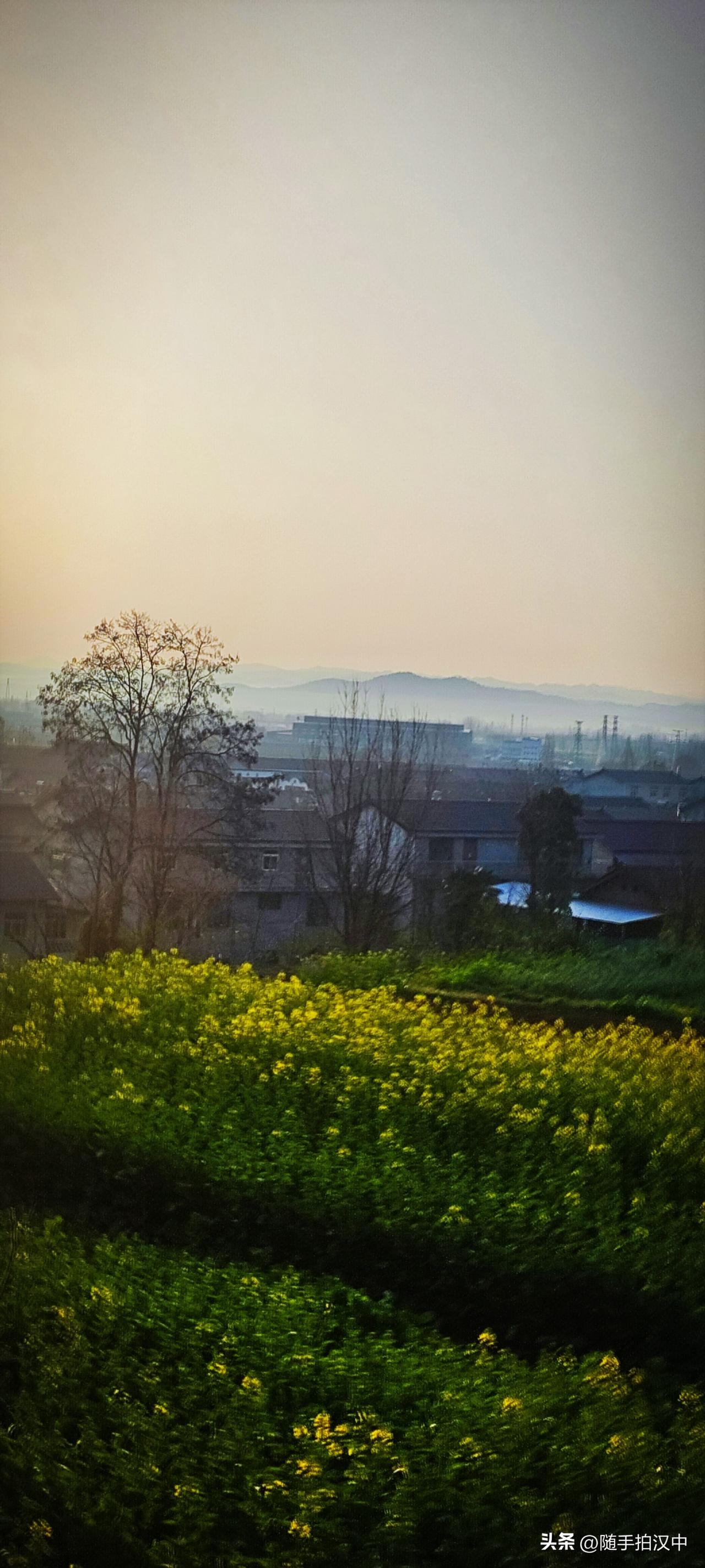 二十四节气的名字，都起得很有意思。今日惊蛰，以一“惊”字，惊破长空，与众不同。似