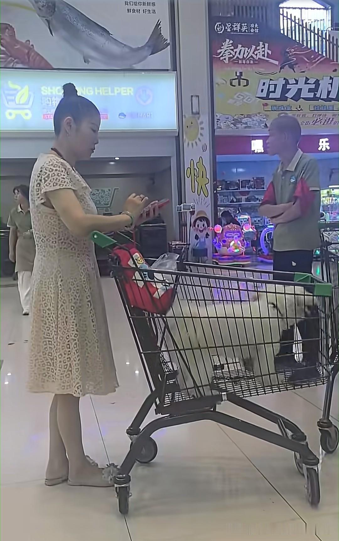 这是浙江一名网友在超市里拍到的，狗在购物车里，探头探脑，东舔西嗅，这样的购物车你