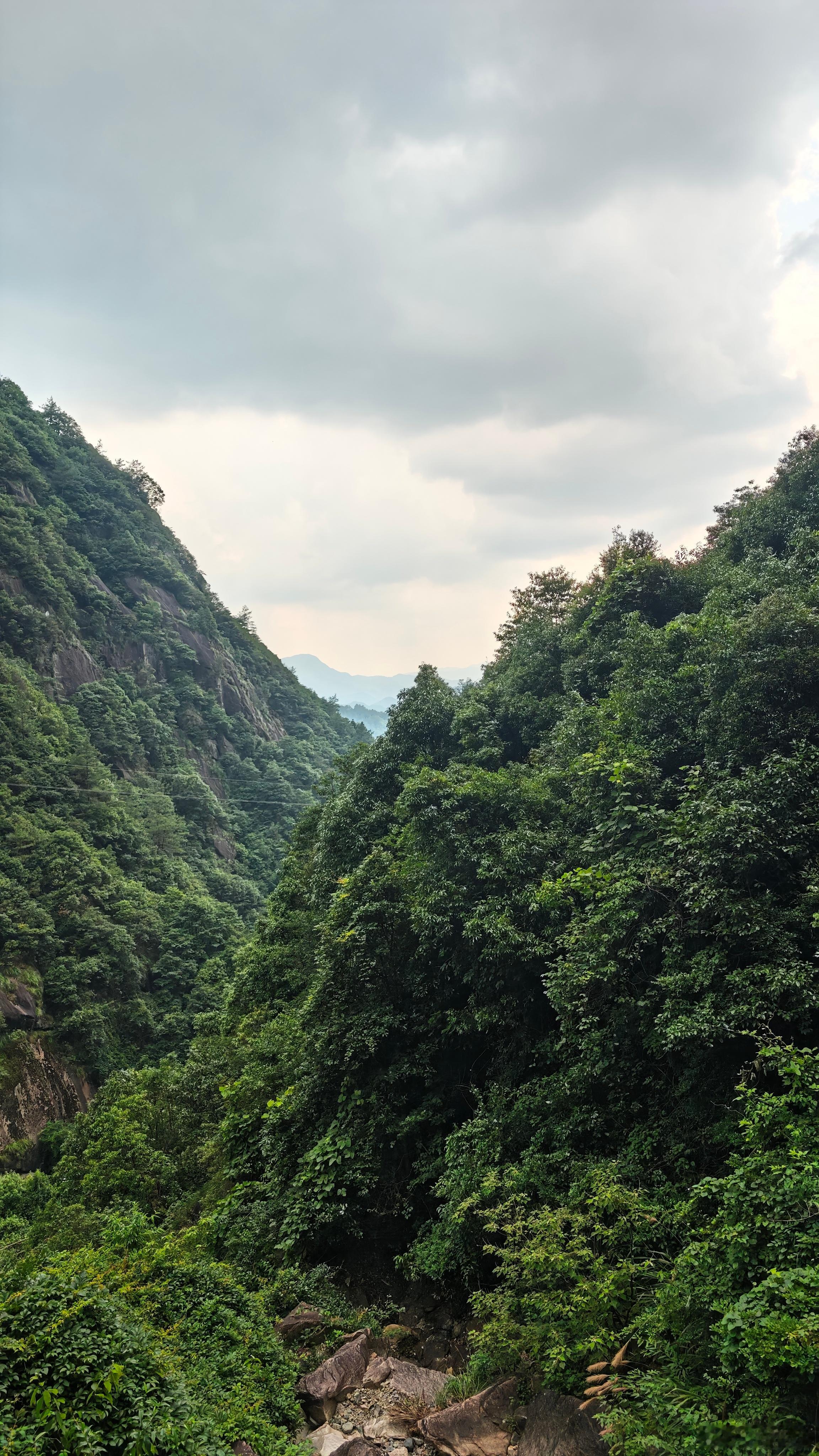 采菊东篱下，悠然见南山 