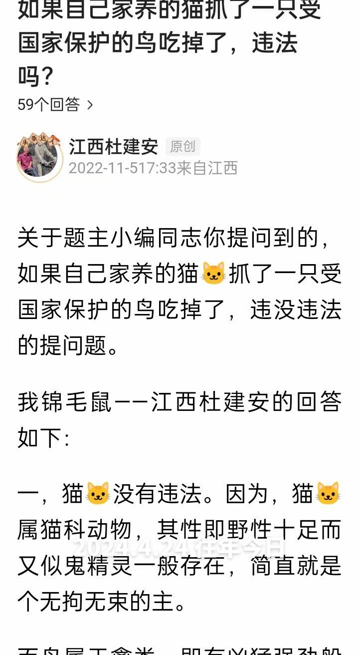 畅所欲言：如果自己家养的猫抓了一只受国家保护的鸟吃掉了，违法吗？
我江西杜建安的
