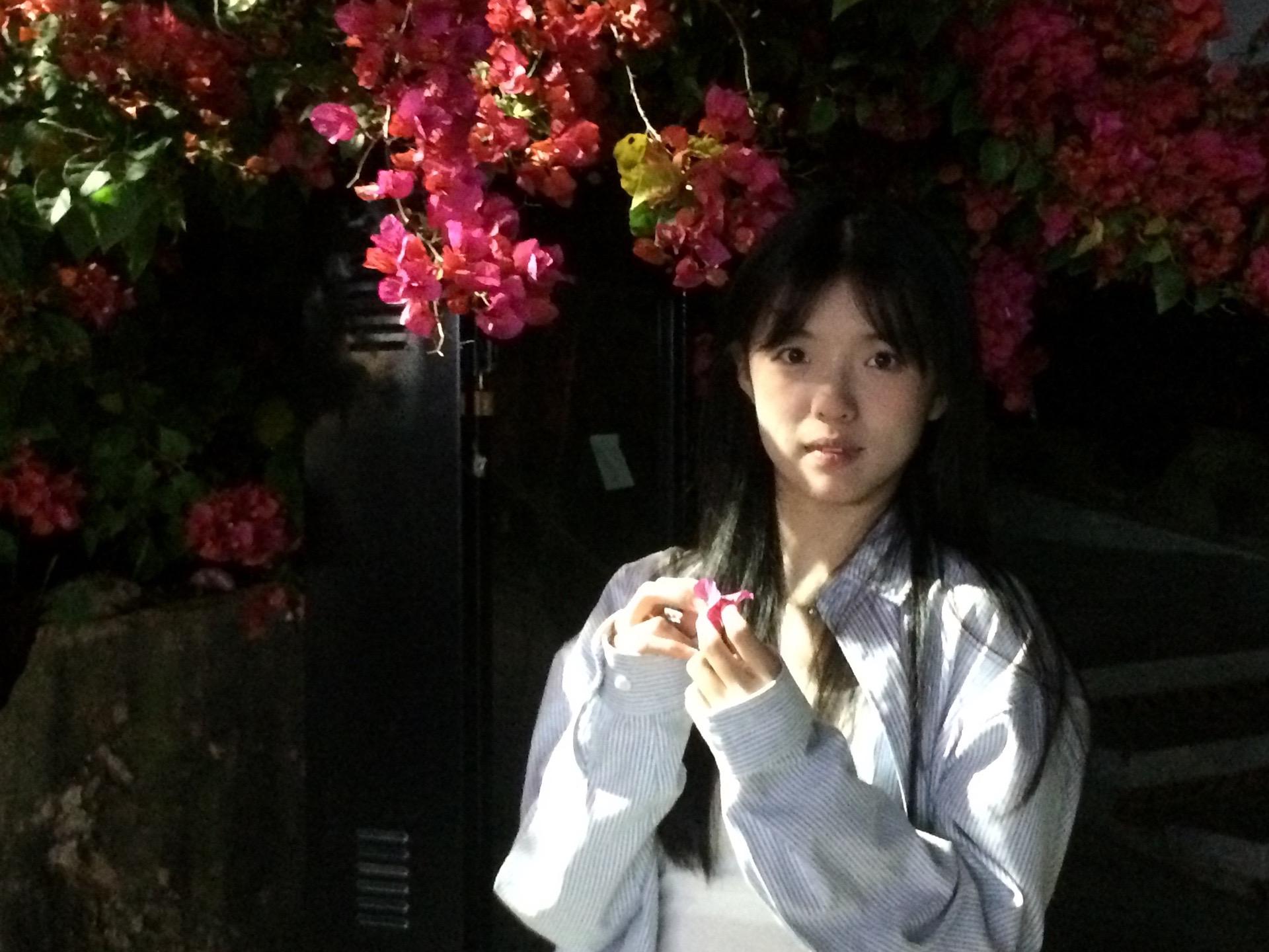 “凌晨四点 我看见海棠花未眠”