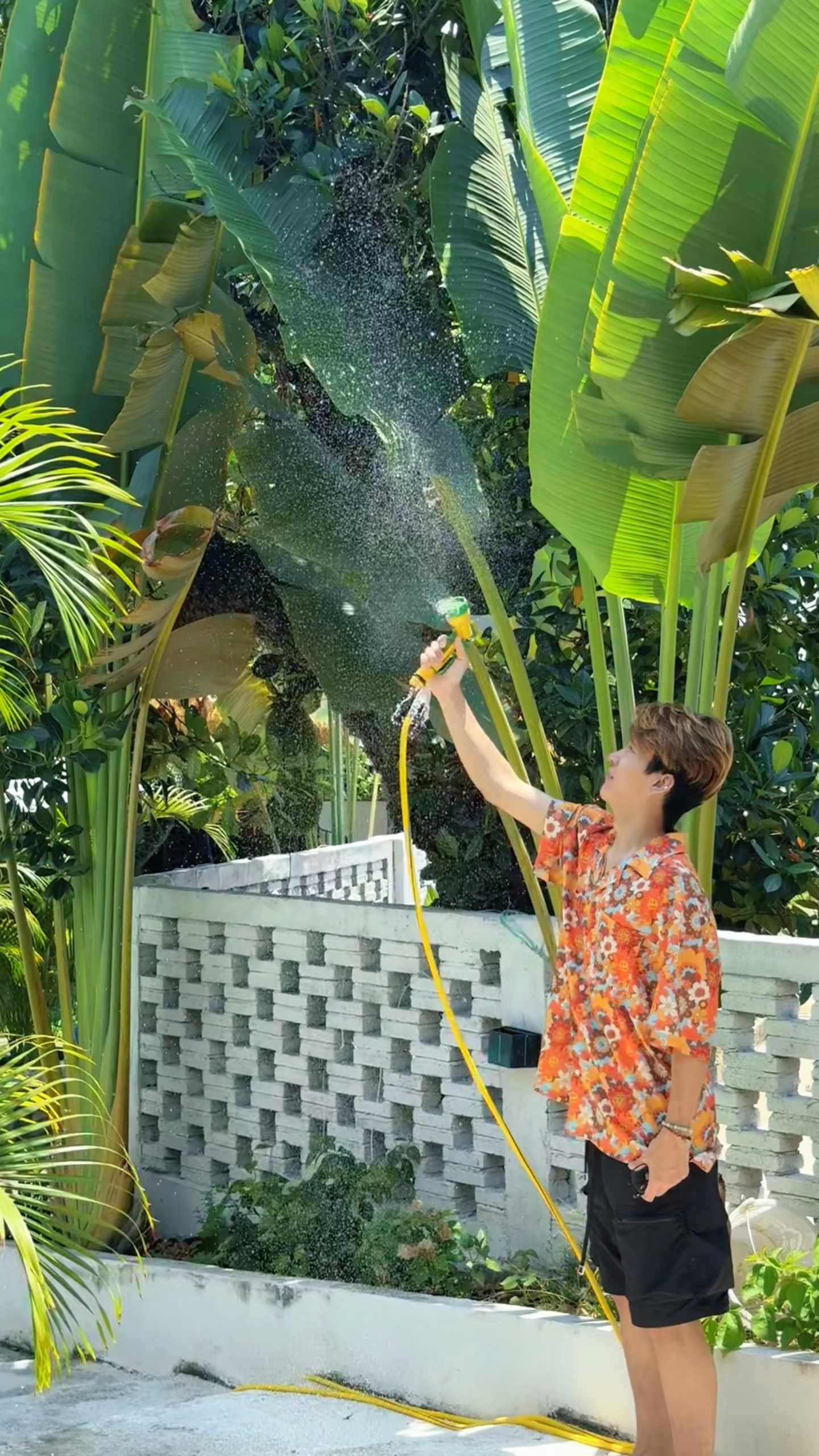 误闯三亚森林小民宿🛖