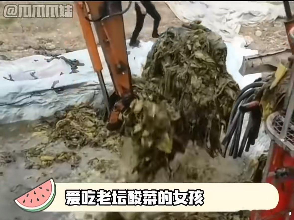 老坛酸菜已经塌无可塌了我补药再吃用挖掘机铲的老坛酸菜了爱吃老坛酸菜牛肉面和酸菜鱼