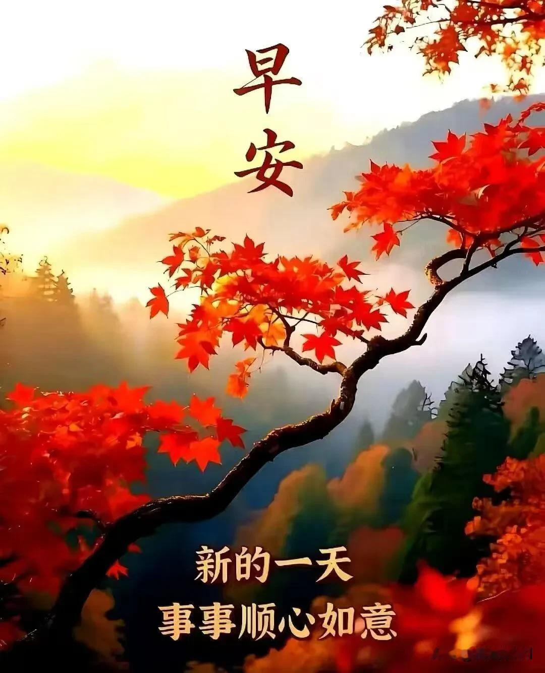 红枫迎朝旭，晨启万事顺，早安吉祥。