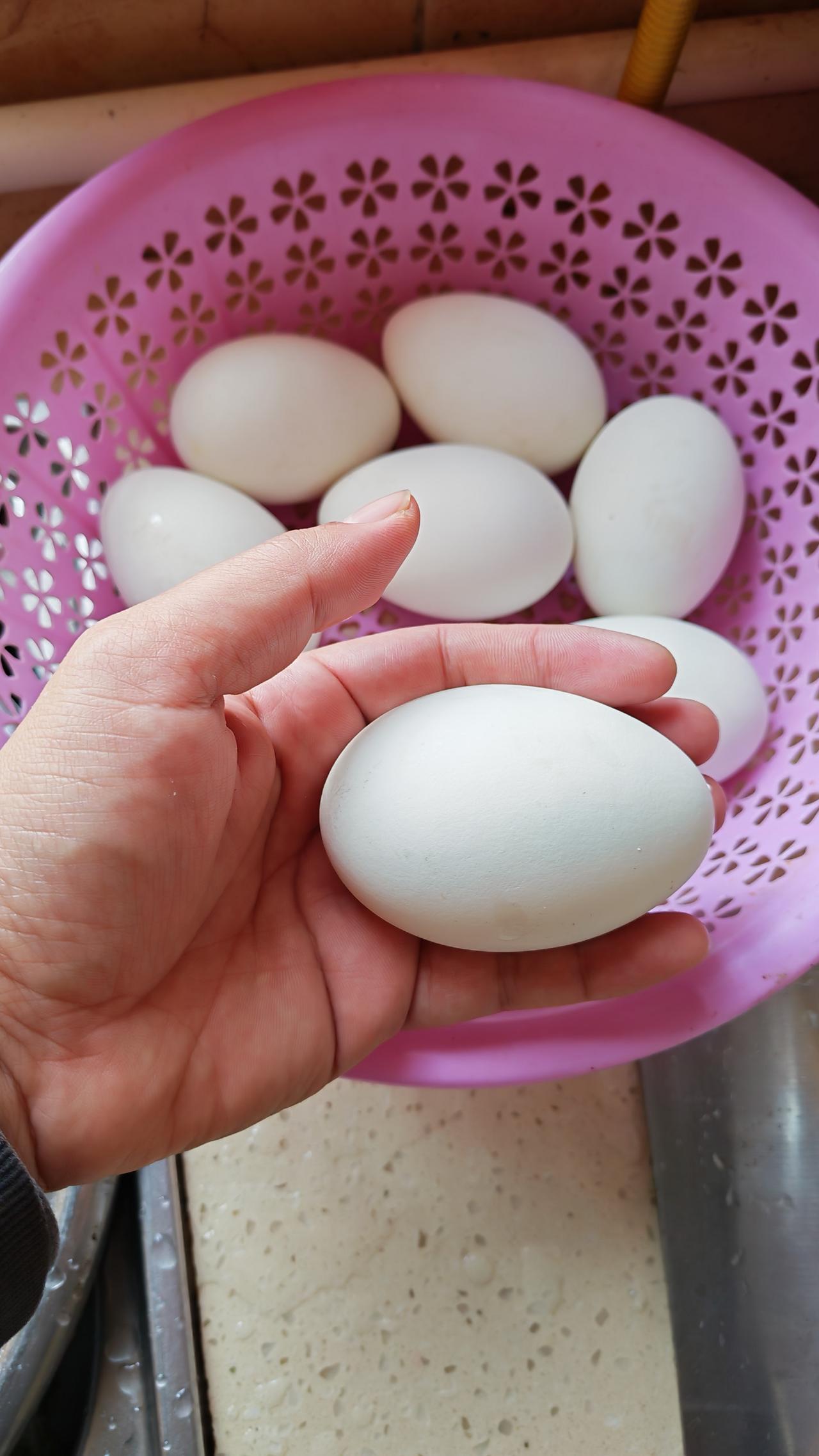 谁说日常只能吃鸡蛋鸭蛋？今天挖到宝——农家散养大鹅蛋，个头堪比“小拳头”，沉甸甸