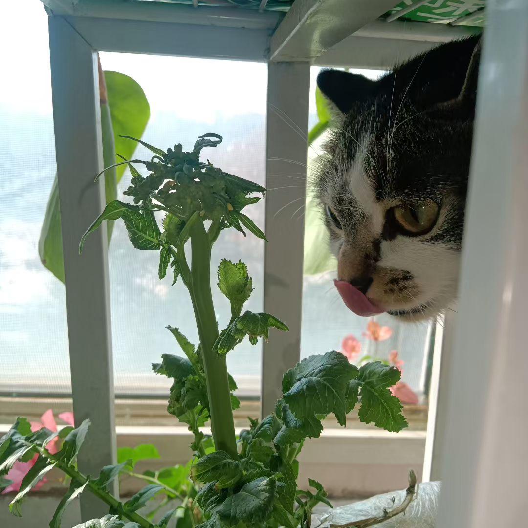 发裸照改定位，女主播男运营合伙下套围猎粉丝，男人 长岁数，也要长脑子
    近