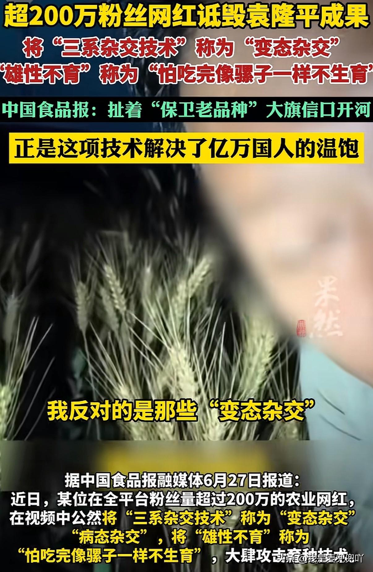 袁隆平发明的杂交水稻就是“变态杂交”！水稻的雄性不育技术人吃了这样的粮食也会像骡